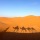 Pouvons nous reverdir le Sahara?
